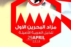 الاتحاد الملكي للفروسية وسباقات القدرة ينظم المزاد الأول للخيل العربية الأصيلة الجمعة