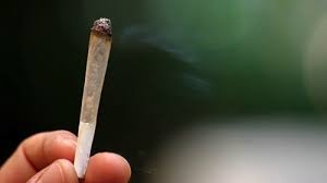 توقيف أصغر مروج سعودي للحشيش عمره 11 عاماً