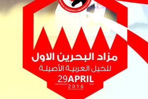 غدا... الاتحاد الملكي للفروسية وسباقات القدرة ينظم المزاد الأول للخيل العربية الأصيلة