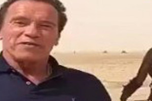 أرنولد في صحراء الكويت.. يشكو جملا كويتيا