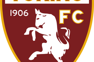 تورينو يقسو على أودينيزي بخماسية بالدوري الإيطالي