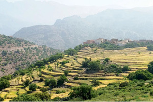 المزارعون المغاربة أهّلوا الوعر منذ القدم