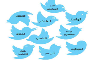 10 أنواع من المغردين