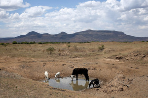 المجاعة تهدّد جنوب القارة الأفريقية