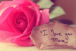 استطلاع: خمس الألمان لن يهدوا أمهاتهم شيئاً في عيد الأم