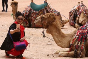 البتراء... المدينة الوردية تستقطب السياح رغم حرارة الصيف