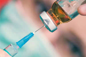 دراسات على الفئران الحوامل المصابة بزيكا تعزز الرابط بصغر حجم الرأس