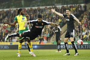 سندرلاند يضمن بقاءه في الدوري الانجليزي ونيوكاسل ونوريتش سيتي يلحقان بأستون فيلا إلى الدرجة الأولى