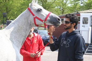 غدا... ناصر بن حمد يقود 'الفريق الملكي' في سباق ويندسور البريطاني
