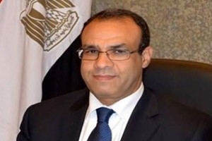 برلين تستدعي السفير المصري بعد التضييق على مؤسسة ألمانية