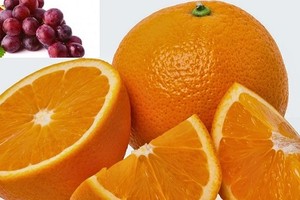 دراسة: العنب الأحمر والبرتقال يعالجان «السمنة» و«السكري»