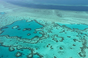 جزيئات الفحم تخنق الشعب المرجانية في استراليا