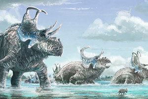 حفريات تظهر قروناً وأشواكاً غريبة لديناصورين اكتشفا بغرب أميركا