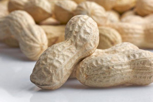 مسحوق الفول السوداني يتسبب في سجن صاحب مطعم 6 سنوات 