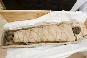 العثور على مومياء لسيدة مصرية نافذة عاشت قبل اربعة الاف سنة في اسوان