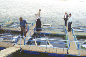 مزارع عائمة... تجربة عراقية في تربية الأسماك