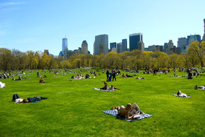 إعادة فتح موقع حرجي في سنترال بارك بعد ثمانية عقود على إقفاله 