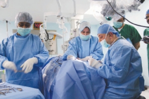 ﻿الإمارات تزرع أول “ سوفونـو” بالمنطقة