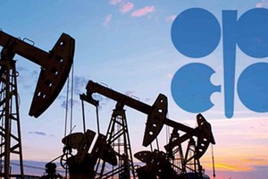 مصدر في أوبك: دول الخليج في المنظمة تتطلع إلى إجراءات منسقة لتحقيق استقرار سوق النفط