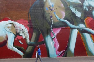 الفيلة في محمية سيلوس التنزانية قد تختفي بحلول العام 2022 