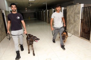 إقبال على اقتناء الكلاب في مسقط مع تبدل النظرة الاجتماعية تجاهها