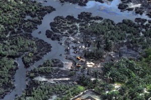 تقرير أممي: ارتفاع تكلفة الجرائم البيئية بنسبة 26 بالمئة