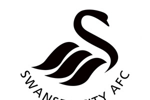 سوانزي سيتي يؤكد انتقال ملكيته لأطراف أميركية