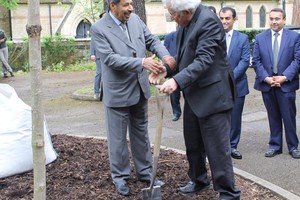 غرَس شجرة سلام وكرم المفكر العالمي نعوم تشومسكي في أكسفورد