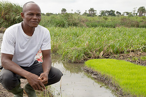 زراعة البذور من أجل محاصيل أفضل لغرب أفريقيا