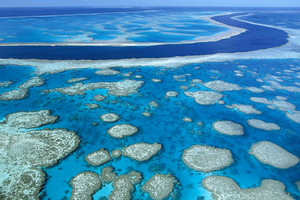 لماذا يتعين علينا الحفاظ على المحيطات