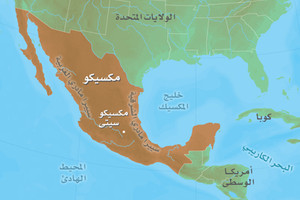 مقتل 11 شخصاً من أسرة واحدة بالرصاص في المكسيك