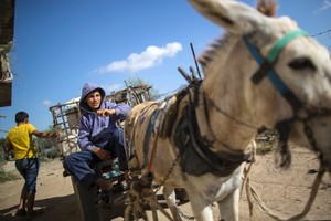 بالصور... الفقر في غزة يزيد من عمالة الأطفال