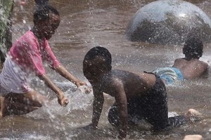 تغريم امرأة في جنوب أفريقيا 10 آلاف دولار لتشبيهها السود بالقرود