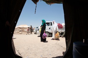 المنظمة الدولية للهجرة: 43 ألف عراقي فروا من الفلوجة وسط الحصار