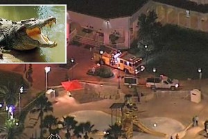 تمساح أميركي يخطف طفلا في منتجع 'ديزني'