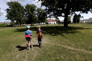 بالصور... شجرة بلوط تقف في قلب ملعب كرة القدم في استونيا