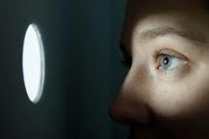 دراسة: الفضول ينشط الدماغ ويقوي الذاكرة