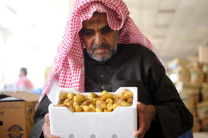 طلائع الرطب تزيين السفر الرمضانية بالمدينة المنورة