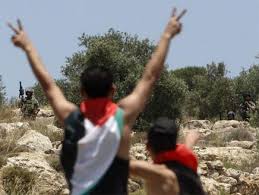 القوات الإسرائيلية تقتل حدثا فلسطينيا بطريق الخطأ