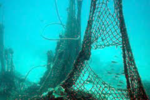 انطلاق مشروع دولي لالتقاط شباك الصيد الهائمة في بحر البلطيق