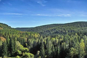 إلى أين المفر مع تفاقم أزمة المناخ؟