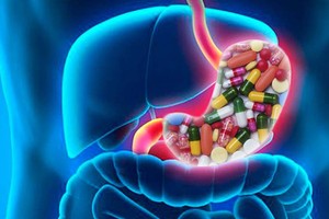 المعدة قادرة على تحويل بعض المواد إلى مؤثرات عقلية