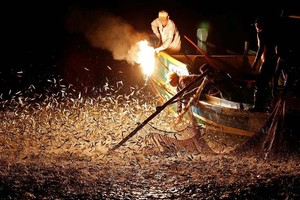 الصيد بالنار.. فقط في تايوان