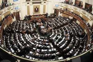 البرلمان المصري يشكل لجنة لتقصي الحقائق في مزاعم فساد القمح