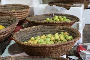 اللوز: 'معشوق الحوامل والنساء'... موسم شحيح والكيلو يصل لـ6 دنانير