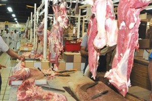 صرف 'علاوة اللحوم' لأكثر من 147 ألف أسرة قبل عيد الفطر