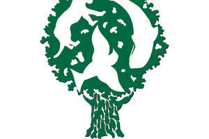 'فورد' تطلق برنامج منح للمحافظة على البيئة لعام 2016