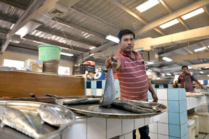 الكنعد يلاحق الهامور... والكيلو بـ 5 دنانير