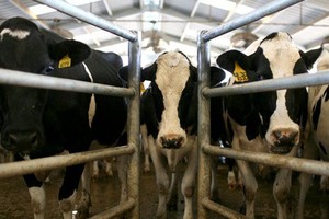 اتفاق بين الرياض وواشنطن لإعادة استيراد اللحوم الأميركية