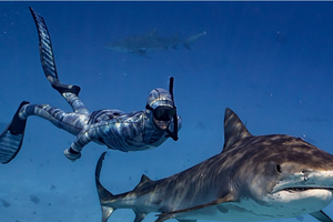 بِذلة غوص ذكية تُخفي الغواصين عن أعين أسماك القرش